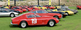 | Cavallino