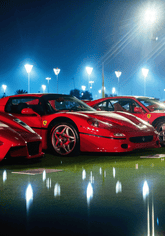 | Cavallino